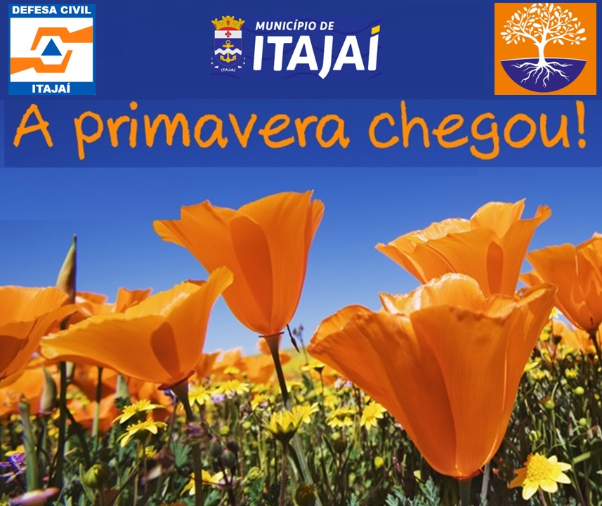 Já estamos na Primavera 